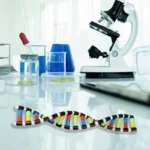 DNA Double Helix Model Kit for Kids 3