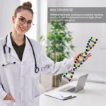DNA Double Helix Model Kit for Kids 2