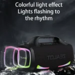 Zealot S79 100W Wireless Outdoor Speaker 4