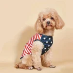 American Flag Dog Bandana & Bow Tie Set 2