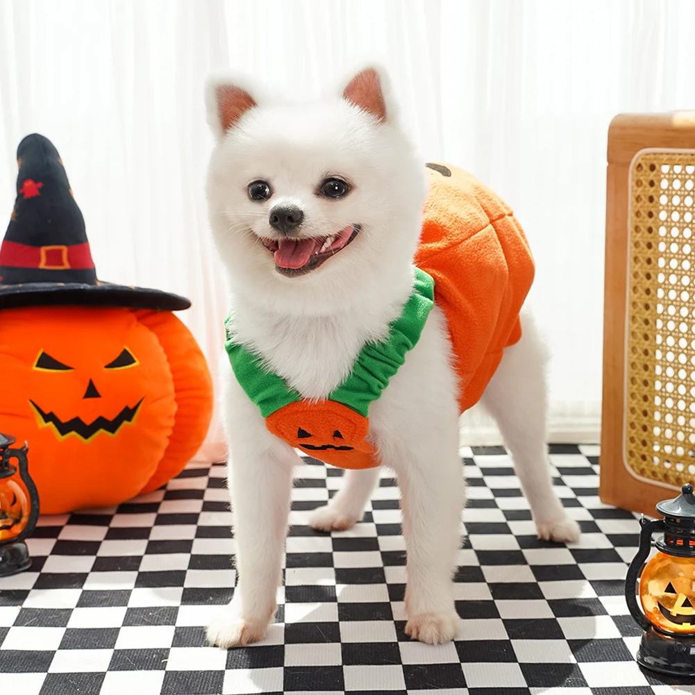 Halloween Dog Costumes Comical Outfits 5 Halloween Dog Costumes Comical Outfits 5