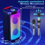 Wireless Bluetooth Karaoke Machine with Mic 4