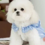 Dog Tutu Dress with Bowknot Puppy Clothes 4