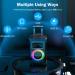 Karaoke Machine with 2 Wireless Microphones 6