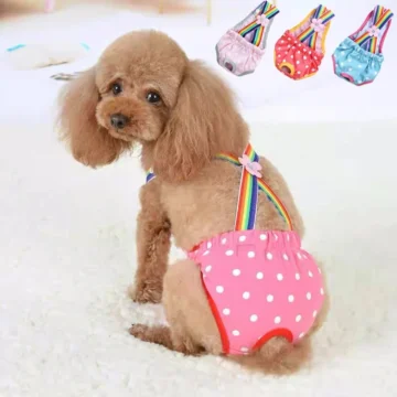 Pet Dog Diaper Shorts for Female Dogs 1