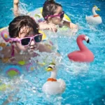 Flamingo Floating Chlorine Dispenser for Pools 3