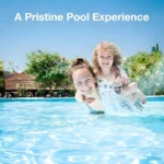 Swimming Pool Chlorine Dispenser for 1-3 inch 5