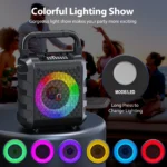 Portable Wireless Karaoke Speaker with Mic 2