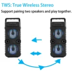 1000W Portable Bluetooth Outdoor Speaker 4