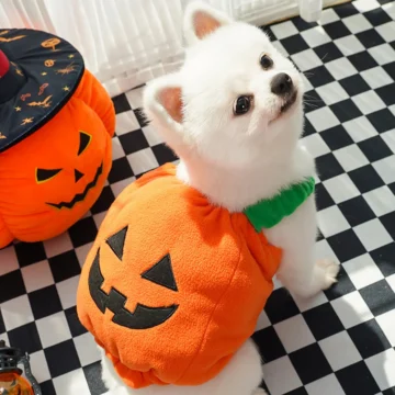 Halloween Dog Costumes Comical Outfits 2 | PricZone Halloween Dog Costumes Comical Outfits 2 | PricZone