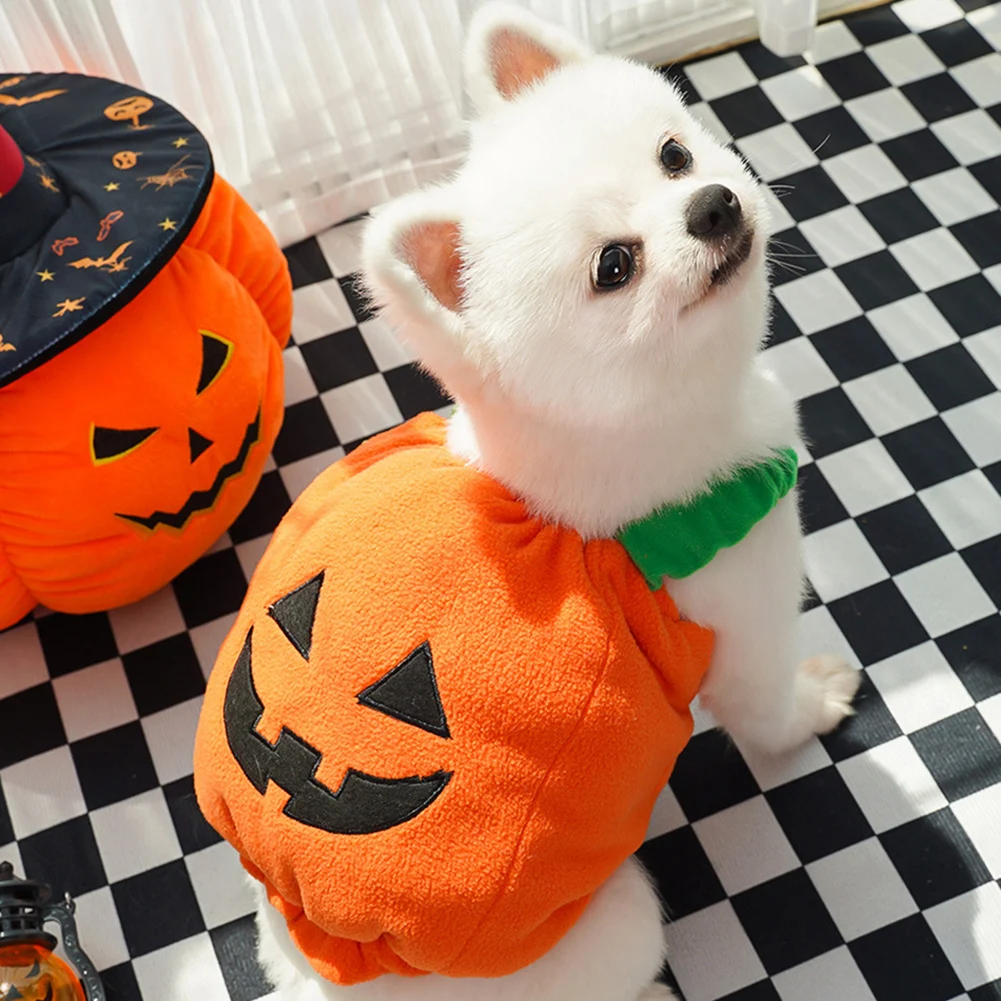 Halloween Dog Costumes Comical Outfits 2 Halloween Dog Costumes Comical Outfits 2