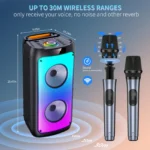 Wireless Bluetooth Karaoke Machine with Mic 3