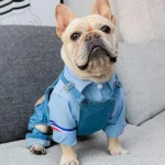 Dog Denim Jumpsuit Puppy Costumes 4
