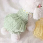 Daisy Dress Dog Clothes for Small Dogs 4