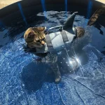 Shark Dog Life Jacket with Safety Handle 5