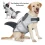 Shark Dog Life Jacket with Safety Handle
