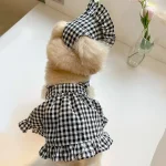 Dog Plaid Skirt with Hat Summer Outfit 4