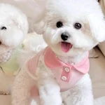 Summer Dog Polo Shirt Pet Clothes 4