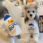 Summer Thin Pet Clothes for Small Dogs 2