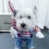 Funny Dog Chucky Costume Pet Halloween Outfit