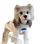 Summer Thin Pet Clothes for Small Dogs 4