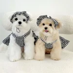 Dog Plaid Skirt with Hat Summer Outfit 1