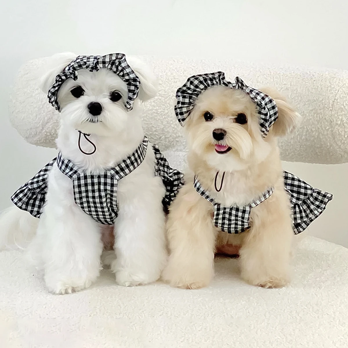 Dog Plaid Skirt with Hat Summer Outfit 1 Dog Plaid Skirt with Hat Summer Outfit 1