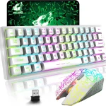 T61 Wireless Gaming Keyboard and Mouse Combo, Ergonomic 61 Key Rainbow LED Backlight Rechargeable 4000mAh Battery Mouse Pad 1