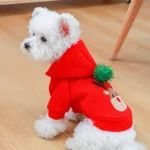 Warm Christmas Dog Skirt Dress 2