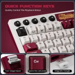 RK ROYAL KLUDGE M87 Gasket Wireless Mechanical Keyboard Hot-Swappable Bluetooth/2.4G/USB-C Gaming Keyboard with TFT Color Screen 3