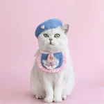 Lion Mane Pet Costume with Tail Set 5