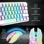 T61 Wireless Gaming Keyboard and Mouse Combo, Ergonomic 61 Key Rainbow LED Backlight Rechargeable 4000mAh Battery Mouse Pad 5