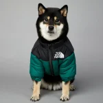 Dog Winter Down Jacket for Small to Medium Dogs 2