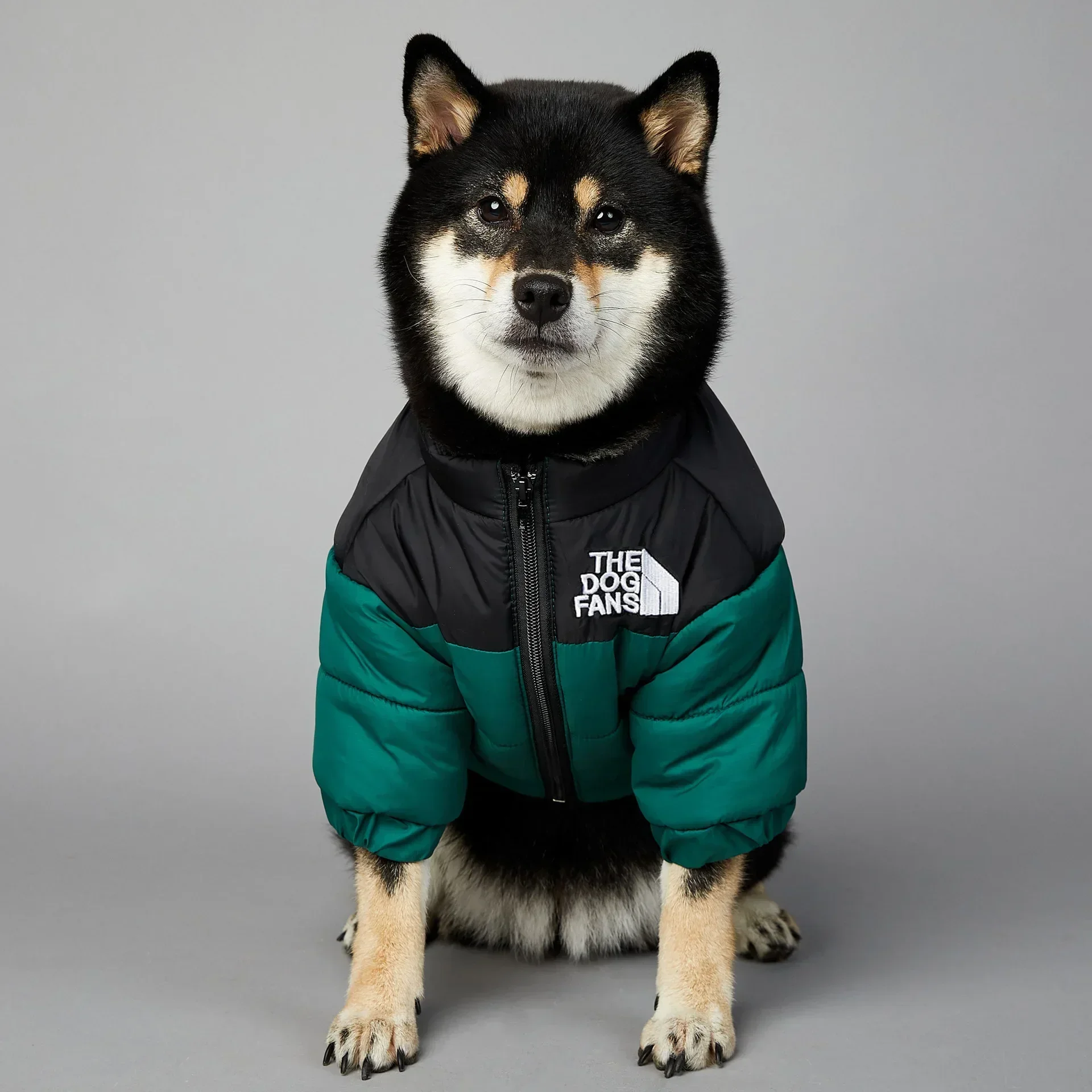 Dog Winter Down Jacket for Small to Medium Dogs 2 Dog Winter Down Jacket for Small to Medium Dogs 2