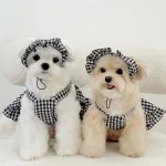 Summer Plaid Pet Dress for Small Dogs 4