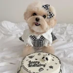 Summer Plaid Pet Dress for Small Dogs 3