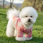 Summer Pet Shirt British Style Plaid Dog Vest Clothes For Small Dogs Chihuahua Cotton Puppy Shirts 3