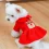 Warm Christmas Dog Skirt Dress