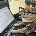 Summer Pet Shirt British Style Plaid Dog Vest Clothes For Small Dogs Chihuahua Cotton Puppy Shirts 5