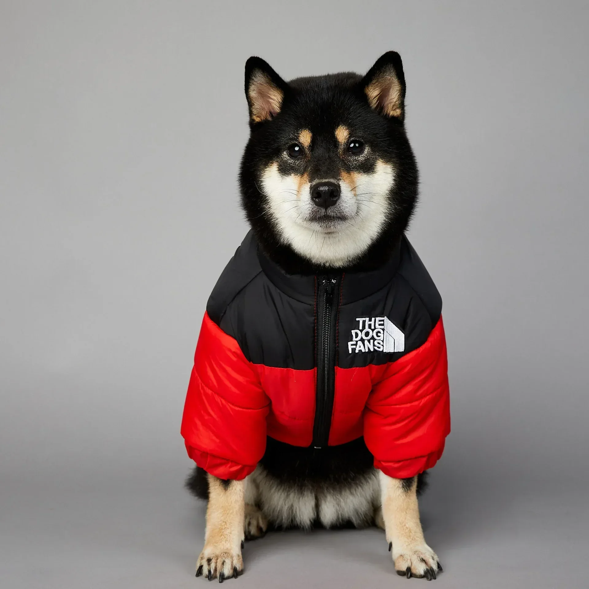 Dog Winter Down Jacket for Small to Medium Dogs 5 Dog Winter Down Jacket for Small to Medium Dogs 5