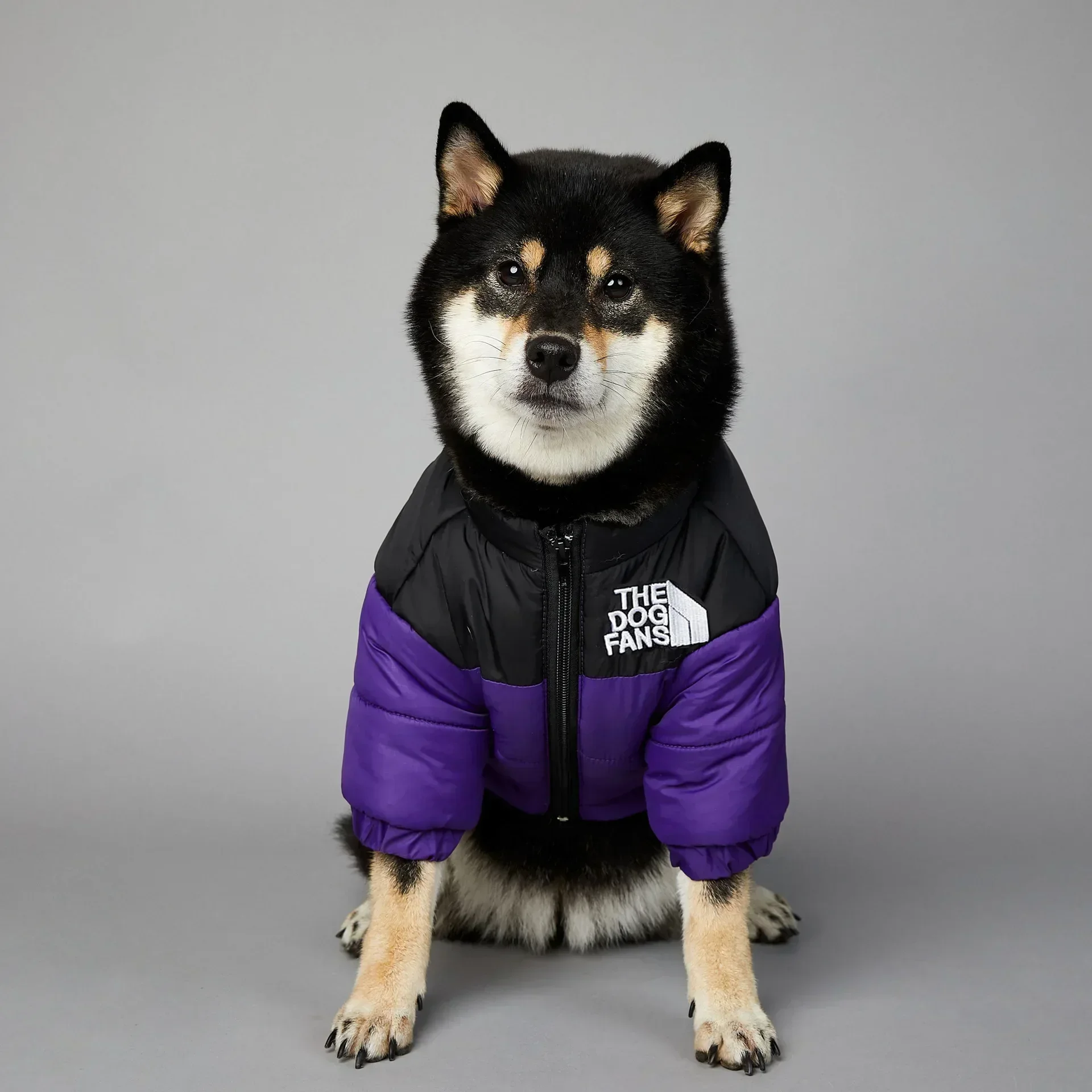 Dog Winter Down Jacket for Small to Medium Dogs 4 Dog Winter Down Jacket for Small to Medium Dogs 4