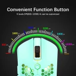 Ziyou Lang Blue LED Gaming Keyboard Set 5