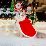 Santa Pet Cloak Warm Plush Hoodie for Small Pets 1