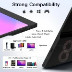 14 Inch Compact Travel Monitor 1080P USB-C HDMI 4