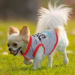 4-Piece Small Dog Pattern Shirts 2