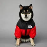 French Bulldog Winter Down Dog Jacket 2