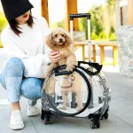 Portable Pet Trolley Carrier with Silent Wheels 5