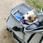 Wedyvko 3 Wheel Foldable Pet Stroller Carrier 3