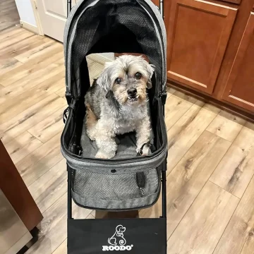 Sage Green All Terrain Pet Stroller Up to 30lb 2