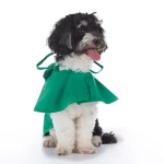 Reflective Hooded Dog Raincoat Jacket 4